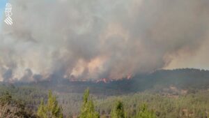 El incendio de Villanueva de Viver afecta ya a 4.300 hectáreas en un perímetro de 50 kilómetros