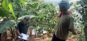 Gobierno Bolivariano inspeccionó espacios de Caracas para fortalecer la producción agroalimentaria en Caracas  - Yvke Mundial