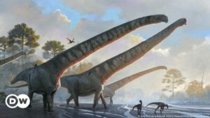 Hallan en China fósiles de dinosaurio que tenía cuello de 15 metros, el más largo jamás descubierto | El Mundo | DW