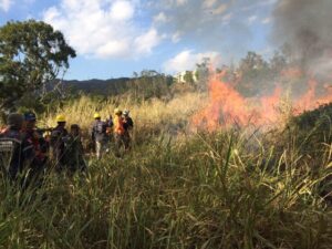Inameh alertó sobre riesgos de incendios forestales hasta en un 70 % en Venezuela 
