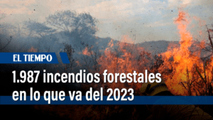 Incendios forestales: cifras de emergencias y pronóstico de clima - Otras Ciudades - Colombia