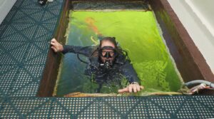 Joseph Dituri, el investigador que vivirá 100 días bajo el agua