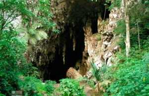 La Cueva del Guácharo, fascinante e invaluable monumento natural