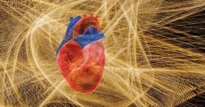 Los latidos del corazón influyen en la forma que el cerebro percibe el paso del tiempo