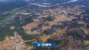 Paro minero en Antioquia: el crítico panorama que quedó al descubierto - Medellín - Colombia