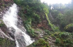 Parque Nacional Chorro El Indio: caída de agua que abastece a Táchira