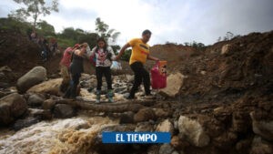 Plan del gobierno Petro para adquirir tierras: división entre mandatarios - Otras Ciudades - Colombia