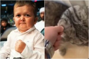 Por maltratar a su gato estallan a Hasbulla, el joven ruso que se hizo estrella de internet por su rara enfermedad (+Video)