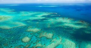 Por qué nos debería preocupar la situación de los arrecifes de coral | Diario El Luchador