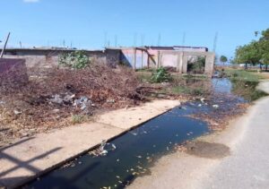Sucre | En el centro de Araya las aguas servidas sirven de caldo de cultivo a enfermedades