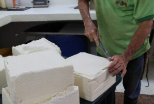 Venezuela es el segundo mayor productor de queso en América Latina – SuNoticiero
