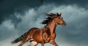 ¿Cuándo empezaron los humanos a montar a caballo? Estos podrían ser los primeros jinetes del mundo
