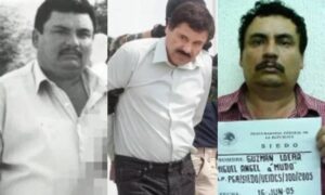 ¿Quiénes son los hermanos de "El Chapo" Guzmán dentro del Cártel de Sinaloa?