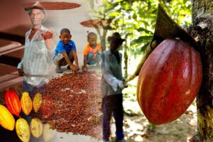 El “Cacao y su Entorno” un Valor Universal Excepcional