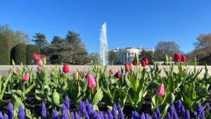 La Casa Blanca se viste de primavera y regala un paseo por sus históricos jardines