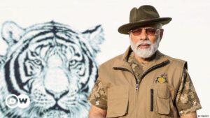 La India celebra los 50 años del Proyecto Tigre | Ecología | DW