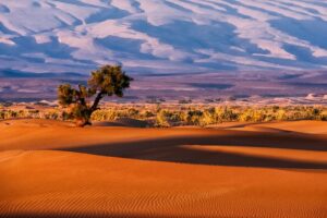 La sequía está convirtiendo a España en lo que siempre se temió a futuro: una sucursal del Sáhara