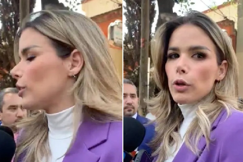 Marie Claire Harp denunció a su expareja por violencia contra la intimidad sexual y exigió justicia en México (+Video)