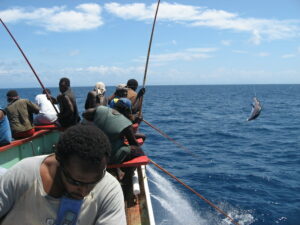 Países insulares del Pacífico tendrán un sistema de alerta para migración del atún