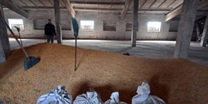 Rusia amenaza con no prolongar el acuerdo para la exportación de cereal ucraniano tras el ataque a Sebastopol