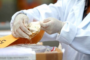 era capaz de producir 200 kilos de droga diarios (+Datos)