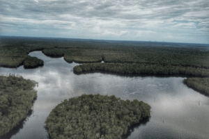 Arriba delegación de Brasil a Amazonas para impulsar turismo en la triple frontera |