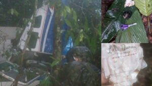 Avioneta accidentada en Caquetá: encuentran vivos a niños desaparecidos - Otras Ciudades - Colombia