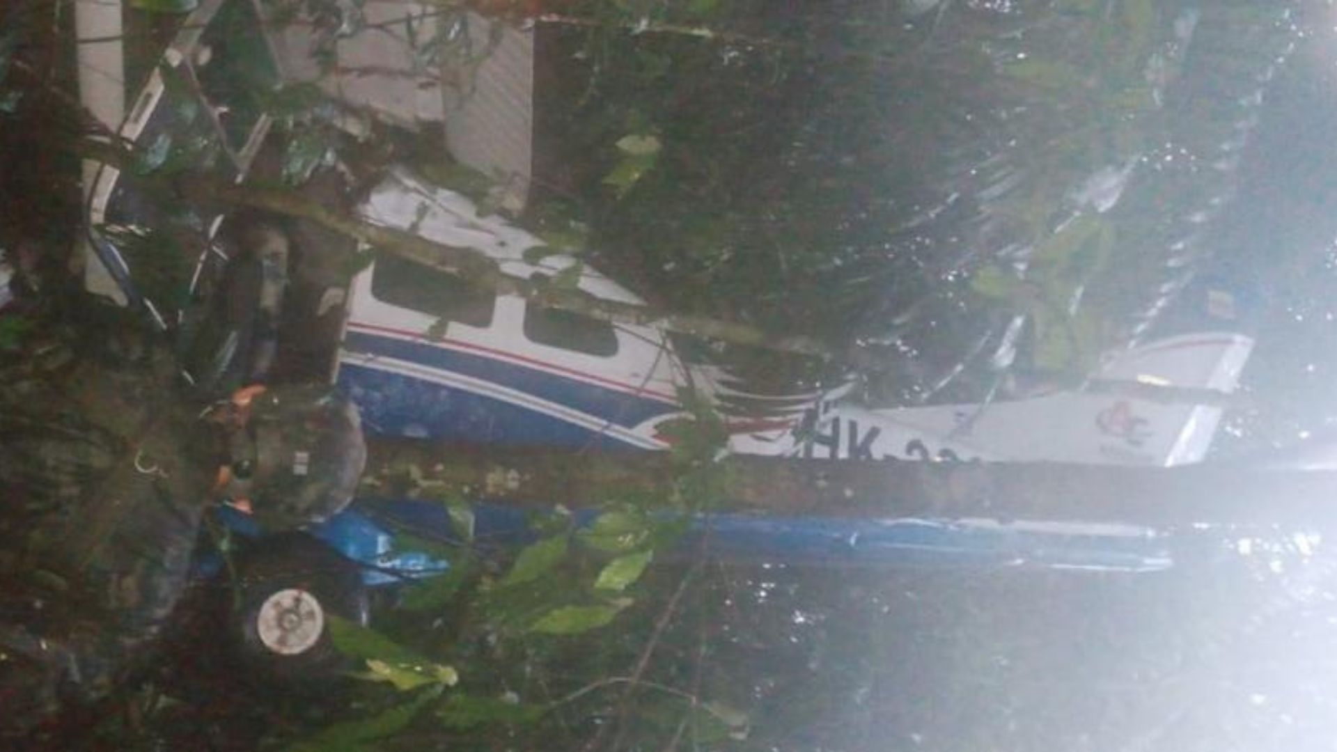 Aparecieron los niños que se accidentaron en avioneta en la selva - Otras Ciudades - Colombia
