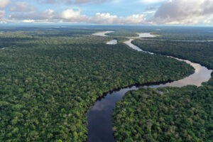 Desaparece una avioneta con sus ocupantes en la Amazonía - Otras Ciudades - Colombia