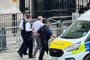 Detenido hombre que estrelló su vehículo contra las rejas de la residencia del primer ministro británico (+Video)