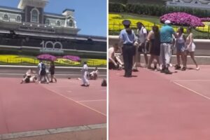 Dos familias se pelearon a puño limpio en un parque de Disney tras discutir por una foto (+Video)