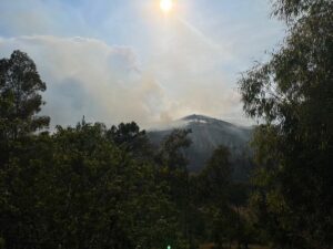 El incendio en Pinofranqueado se encuentra en una situación "crítica" tras alcanzar el fuego a Sierra de Gata
