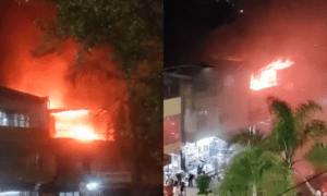 Incendio en Itagüí: tres mascotas murieron en una vivienda - Medellín - Colombia