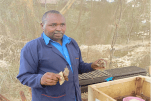 Kenia comienza a aprovechar los beneficios para la salud de los caracoles