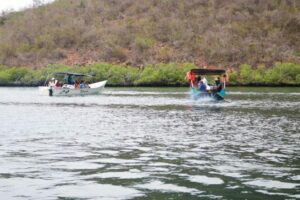 Liberan más de 500 caballitos de mar en el Parque Nacional Mochima – SuNoticiero