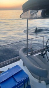 Una orca nada al lado de un bote en el Estrecho de Gibraltar (@ april_georgina/via REUTERS)