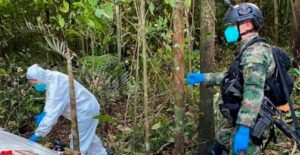 Posibilidad de que disidencias de FARC tengan a niños perdidos tras accidente es "nula"