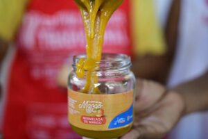 Atlántico: festival del Mango en Pendales - Barranquilla - Colombia