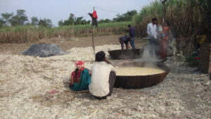 Cómo organizaciones indias benefician a los agricultores de subsistencia