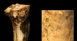 El caso más antiguo de canibalismo podría tener un millón y medio de años
