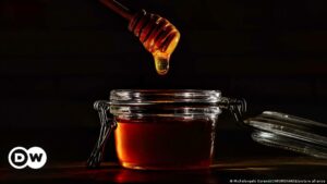"Está circulando en el mercado algo que no es miel" | Economía | DW