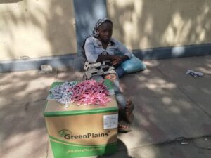 Iniciativas de ahorro de las mujeres se hunden con la moneda en Zimbabue