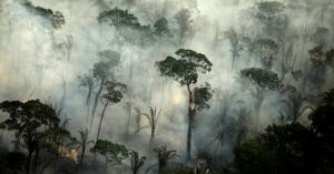 Los incendios en la Amazonía brasileña se dispararon un 120 % en mayo
