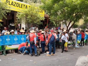 Maltrato animal: caballo se desplomó durante cabalgata en El Espinal, Tolima - Otras Ciudades - Colombia