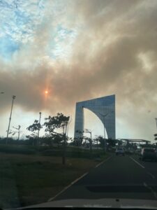 Nuevo incendio en Parque Isla Salamanca envuelve de humo a Barranquilla - Barranquilla - Colombia