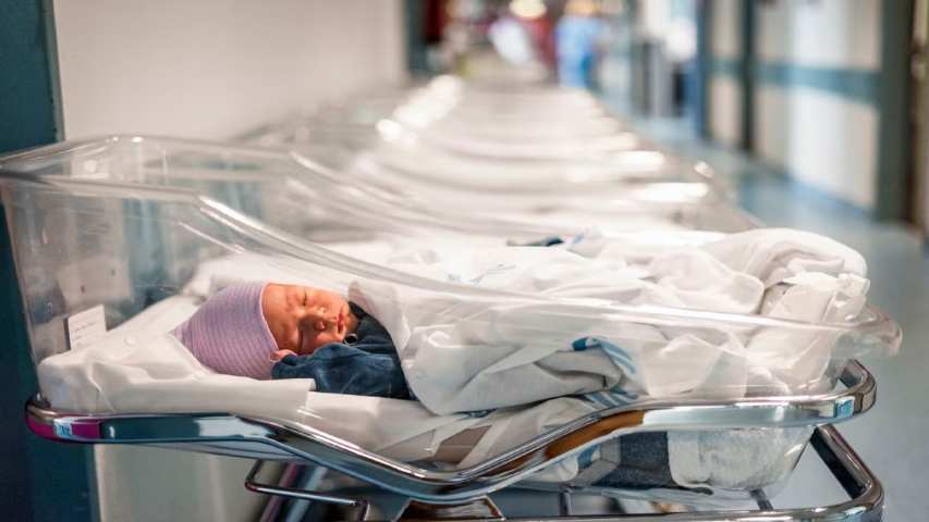 Relacionan variante de virus con muerte de 7 recién nacidos en Francia