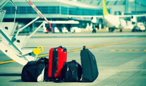 VIDEO: Le revisaban el bolso en un aeropuerto de Florida, pero nunca imaginaron lo que encontrarían