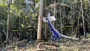 ¿Cómo podrían sobrevivir cuatro niños a un accidente aéreo en el Guaviare? Un nuevo informe ofrece pistas