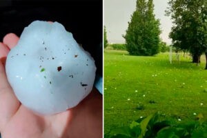 Al menos 110 heridos en el noreste de Italia por lluvia de granizo del tamaño de pelotas de tenis (+Video)