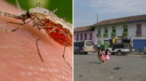 Alerta en Risaralda por el aumento de los casos de malaria - Otras Ciudades - Colombia